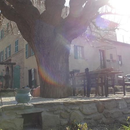 B&B Reillys Montecarotto Exterior foto